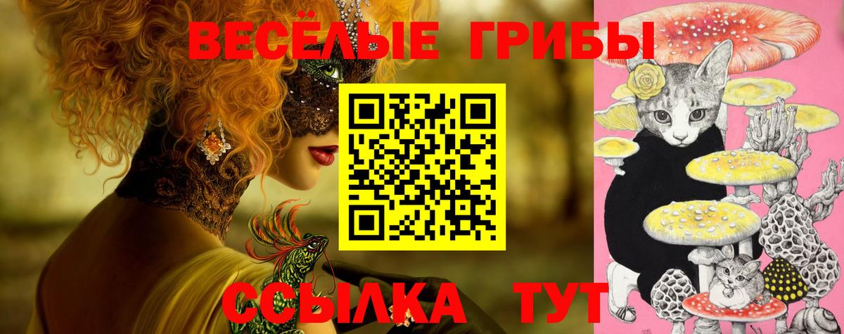 Чистополь  Галлюциногенные грибы GOLDEN TEACHER  Вход с VPN 